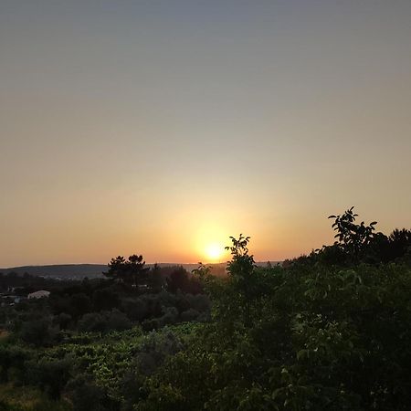 R3 - Guesthouse Travessa Da Arieira Aguda  Dış mekan fotoğraf